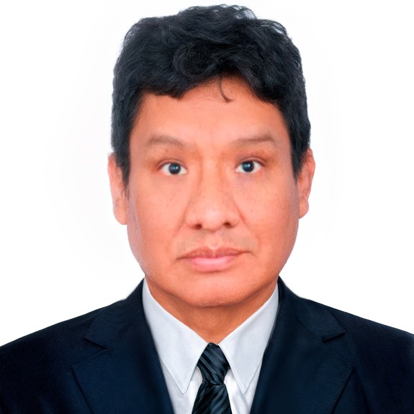 Asesor Mg. Ing. Hugo Espetia Huamanga