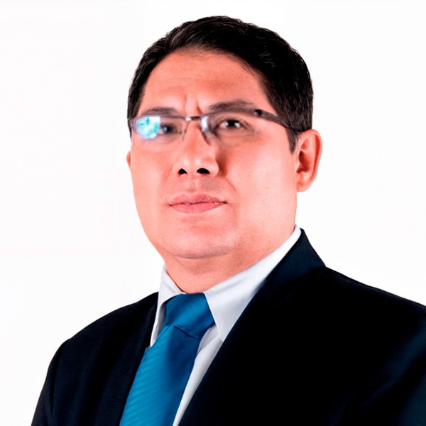 Mg. Ing. Luis Álvaro Monzón Condori, Miembro del Jurado Calificador